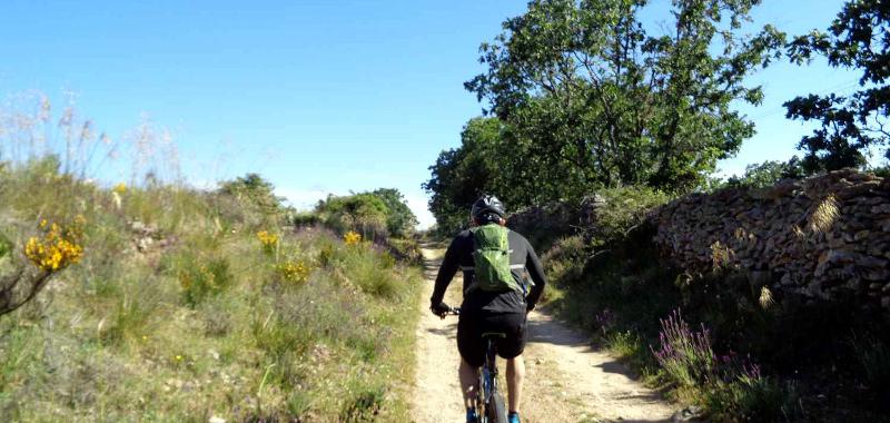 Rutas en bici 